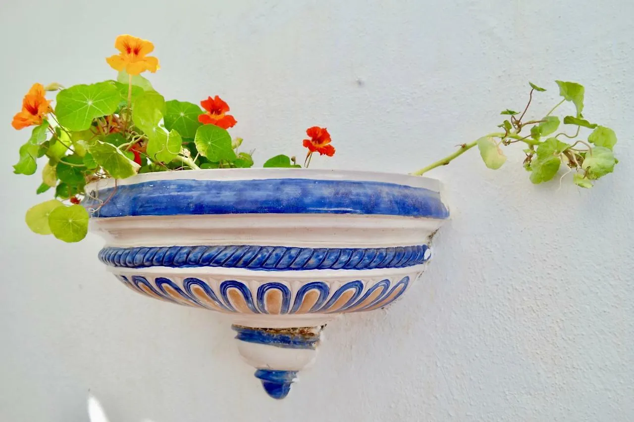 Amazing Sea Views Duplex Apartment With Garden, El Porton De Mijas 0*,